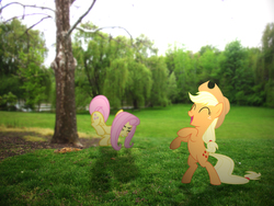 Size: 3968x2976 | Tagged: safe, artist:hachaosagent, artist:lightningtumble, artist:patec, applejack, fluttershy, earth pony, pegasus, pony, g4, bipedal, bucking, cheering, female, high res, irl, mare, photo, ponies in real life, shadow, tree, upright, vector
