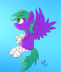 Size: 832x983 | Tagged: safe, artist:gift, oc, oc only, oc:nighthook, pegasus, pony, clothes, collar, female, mare, nighthook, purple, socks, solo, striped socks