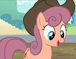 Size: 929x721 | Tagged: safe, screencap, wildwood flower, earth pony, pony, g4, the last roundup, cowboy hat, cropped, female, hat, open mouth, solo, wildwood flower's hat