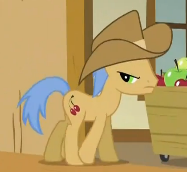 Size: 187x172 | Tagged: safe, screencap, cherry strudel, earth pony, pony, g4, over a barrel, background pony, cowboy hat, cropped, hat, male, solo, stallion