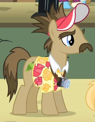 Size: 315x405 | Tagged: safe, screencap, globe trotter, g4, rarity takes manehattan, background pony, solo, tourist