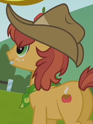 Size: 262x347 | Tagged: safe, screencap, half baked apple, earth pony, pony, apple family reunion, g4, season 3, apple family member, background pony, bucktooth, butt, cropped, male, plot, solo, stallion