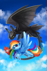 Size: 667x1000 | Tagged: safe, artist:tsaoshin, rainbow dash, dragon, night fury, pegasus, pony, g4, backwards cutie mark, crossover, cute, dreamworks, duo, female, flying, hair over one eye, how to train your dragon, mare, toothless the dragon
