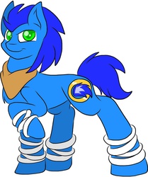 Size: 1272x1524 | Tagged: safe, artist:sparkle-the-cat-13, pony, male, ponified, simple background, solo, sonic boom, sonic the hedgehog, sonic the hedgehog (series), white background