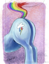 Size: 888x1155 | Tagged: safe, artist:php188, rainbow dash, pegasus, pony, g4, backwards cutie mark, butt, butt only, dock, female, plot, raised tail, solo, tail