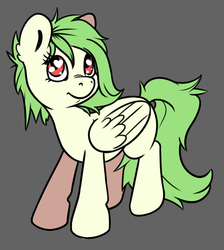 Size: 1108x1234 | Tagged: safe, artist:senaelik, oc, oc only, pegasus, pony, solo