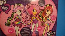 Size: 599x337 | Tagged: safe, apple bloom, scootaloo, sweetie belle, equestria girls, g4, cutie mark crusaders, merchandise, wild rainbow