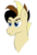 Size: 732x1091 | Tagged: safe, artist:illusiveelusive, oc, oc only, oc:ramzy, pony, head only, mohawk, ramirez, solo, stare