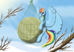 Size: 1920x1358 | Tagged: safe, artist:bcrich40, rainbow dash, pegasus, pony, g4, behaving like a bird, eating, feather, female, fluffy, hay, hay bale, herbivore, horses doing bird things, horses doing horse things, hug, net, pegasus feeder, puffy cheeks, rainbird dash, rainbow bird, smiling, solo, spread wings