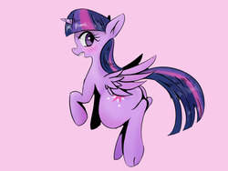 Size: 1280x960 | Tagged: safe, artist:hebibox, twilight sparkle, alicorn, pony, g4, female, mare, solo, twilight sparkle (alicorn)