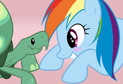 Size: 1450x1000 | Tagged: safe, artist:zigrock, rainbow dash, tank, g4, blushing, cute, duo, looking at each other, nose wrinkle, pink background, pixiv, profile, simple background, smiling