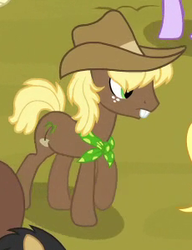 Size: 230x300 | Tagged: safe, screencap, adante, aunt orange, candyshell cream, caramel brownie, cloudfritter, coconut coast, earth pony, pony, g4, trade ya!, background pony, bucktooth, cowboy hat, cropped, female, hat, male, male focus, mare, solo focus, stallion