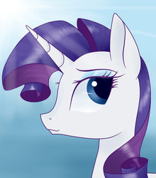 Size: 1024x1165 | Tagged: safe, artist:justbrohoof, rarity, g4, female, portrait, solo