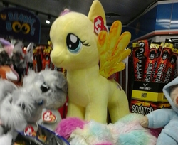 Size: 720x588 | Tagged: safe, fluttershy, g4, beanie babies, irl, photo, plushie, ty