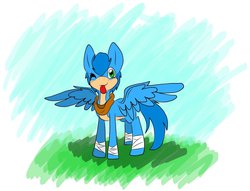 Size: 1954x1492 | Tagged: safe, artist:unlucky-emogirl666, pony, ponified, solo, sonic boom, sonic the hedgehog, sonic the hedgehog (series)