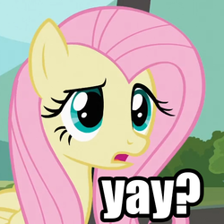 Size: 525x525 | Tagged: source needed, safe, screencap, fluttershy, g4, caption, female, image macro, question, question mark, reaction image, solo, unsure, yay