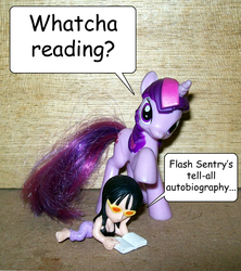 Size: 756x850 | Tagged: safe, flash sentry, twilight sparkle, g4, book, crossover, nico robin, one piece, reading, sunglasses, toy