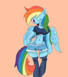 Size: 900x1020 | Tagged: safe, artist:mabo3, rainbow dash, anthro, g4, belly button, female, pixiv, solo