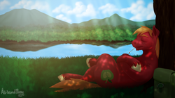 Size: 1280x720 | Tagged: safe, artist:airheadpony, big macintosh, earth pony, pony, g4, crossed legs, eyes closed, goatee, male, on back, relaxing, saddle bag, scenery, solo, stallion