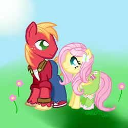 Size: 2000x2000 | Tagged: safe, artist:princessfaeron, big macintosh, fluttershy, earth pony, pony, g4, clothes, duo, high res, male, ship:fluttermac, shipping, stallion, straight