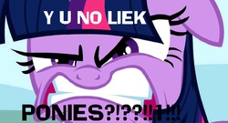 Size: 1352x730 | Tagged: safe, screencap, twilight sparkle, g4, female, image macro, meme, reaction image, solo, y u no