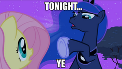 Size: 884x500 | Tagged: safe, screencap, fluttershy, princess luna, g4, image macro, meme, tonight you