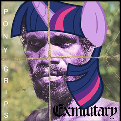 Size: 1000x1000 | Tagged: safe, twilight sparkle, g4, album cover, crossover, death grips, exmilitary, male, mc ride, solo, wat, youtube link