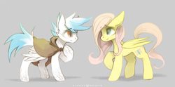 Size: 1300x647 | Tagged: safe, artist:foxinshadow, fluttershy, oc, g4, cloak, clothes, duo, full body, gray background, looking at each other, looking at someone, pointing at self, raised hoof, side view, simple background