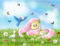 Size: 800x609 | Tagged: safe, artist:chanceyb, angel bunny, fluttershy, pegasus, pony, g4, female, solo, spring