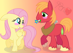 Size: 1349x982 | Tagged: safe, artist:mylittlepon3lov3, big macintosh, fluttershy, earth pony, pony, g4, blushing, cute, female, flower, macabetes, male, mouth hold, ship:fluttermac, shipping, shyabetes, stallion, straight