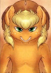 Size: 765x1078 | Tagged: artist needed, safe, edit, applejack, earth pony, pony, g4, female, grin, hat, mirrored, rapeface, solo, unitinu