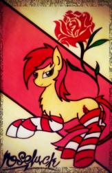 Size: 1297x1990 | Tagged: safe, artist:canvymamamoo, roseluck, earth pony, pony, g4, bedroom eyes, clothes, female, mare, pose, rose, socks, solo, striped socks, traditional art