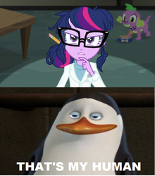 Size: 634x720 | Tagged: safe, edit, edited screencap, screencap, sci-twi, spike, spike the regular dog, twilight sparkle, bird, dog, human, penguin, equestria girls, g4, my little pony equestria girls: rainbow rocks, dreamworks, image macro, kowalski, madagascar (dreamworks), meme, that's my x, the penguins of madagascar, wholesome