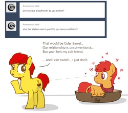 Size: 1259x1118 | Tagged: safe, artist:chunky soup, oc, oc only, oc:chunky soup, oc:cider barrel, earth pony, pony, answer, ask, basket bed, chubby, gay, male, pet play, tumblr