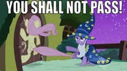Size: 640x355 | Tagged: safe, edit, edited screencap, editor:ultimashadow7, screencap, fluttershy, twilight sparkle, pegasus, pony, unicorn, g4, luna eclipsed, clothes, cosplay, costume, duo, flutterdoor, fluttershy vs door, gandalf, gandalf the grey, lord of the rings, meme, night, nightmare night costume, star swirl the bearded costume, twilight the bearded, unicorn twilight, you shall not pass