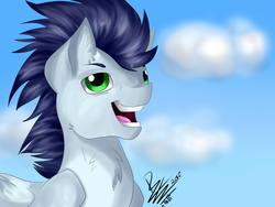 Size: 4000x3000 | Tagged: safe, artist:grafikfehler, artist:tetrispferd, soarin', g4, male, solo