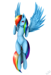 Size: 1300x1900 | Tagged: safe, artist:holyroll4, rainbow dash, g4, belly button, female, signature, solo