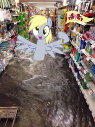 Size: 538x720 | Tagged: safe, derpy hooves, pegasus, pony, g4, female, flag, flood, image macro, irl, mare, meme, photo, ponies in real life, solo, thailand, water