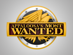 Size: 720x540 | Tagged: safe, appleoosa's most wanted, g4, america's most wanted, logo, parody