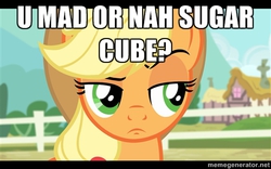 Size: 500x312 | Tagged: safe, applejack, g4, meme, u mad, unconvinced applejack