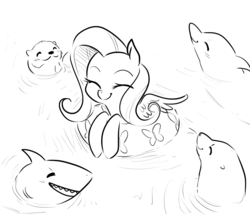 Size: 900x800 | Tagged: safe, artist:glacierclear, fluttershy, dolphin, otter, seal, shark, g4, cute, monochrome, shyabetes