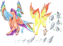 Size: 7014x5100 | Tagged: safe, artist:dawn22eagle, pound cake, rainbow dash, scootaloo, spitfire, pegasus, pony, g4, absurd resolution, colored wings, colored wingtips, older, older scootaloo, rainbow feathers, tail, tail feathers, tattoo, teenage scootaloo, traditional art, wings
