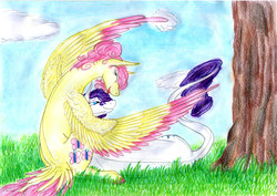 Size: 6919x4895 | Tagged: safe, artist:dawn22eagle, fluttershy, rarity, pegasus, pony, unicorn, g4, absurd resolution, colored wings, colored wingtips, duo, female, lesbian, ship:flarity, shipping, tail, tail feathers, traditional art, wings