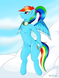 Size: 2448x3264 | Tagged: safe, artist:howl echoes, rainbow dash, pegasus, pony, semi-anthro, g4, cloud, cloudy, female, goggles, high res, solo