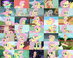 Size: 900x709 | Tagged: safe, artist:fred321123, edit, edited screencap, screencap, angel bunny, fluttershy, private pansy, rainbow dash, bird, manticore, pegasus, pony, a bird in the hoof, dragon quest, dragonshy, fall weather friends, feeling pinkie keen, friendship is magic, g4, griffon the brush off, sonic rainboom (episode), sweet and elite, the best night ever, the return of harmony, the ticket master, winter wrap up, bag, collage, female, flutterrage, fluttershy's cottage, fluttershy's cottage (interior), golden oaks library, hedge maze, mare, maze, mirror, saddle bag, you're going to love me