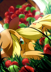 Size: 2149x3071 | Tagged: safe, artist:caibaoreturn, applejack, earth pony, pony, g4, apple, female, freckles, grass, hat, high res, looking at you, mare, pixiv, smiling, solo