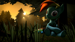 Size: 1920x1080 | Tagged: safe, artist:moonwroughtshadow, rainbow dash, g4, 3d, female, looking at you, sitting, solo, source filmmaker, sunset, tree