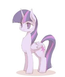 Size: 600x705 | Tagged: safe, artist:kolshica, twilight sparkle, alicorn, pony, g4, female, idle, mare, solo, twilight sparkle (alicorn)