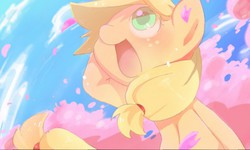 Size: 512x308 | Tagged: safe, artist:miki 14, applejack, earth pony, pony, g4, cherry blossoms, female, solo