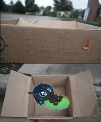 Size: 498x600 | Tagged: safe, edit, changeling, hybrid, nymph, 1000 hours in ms paint, box, changeling in a box, interspecies offspring, irl, offspring, parent:queen chrysalis, parent:shining armor, parents:shining chrysalis, photo